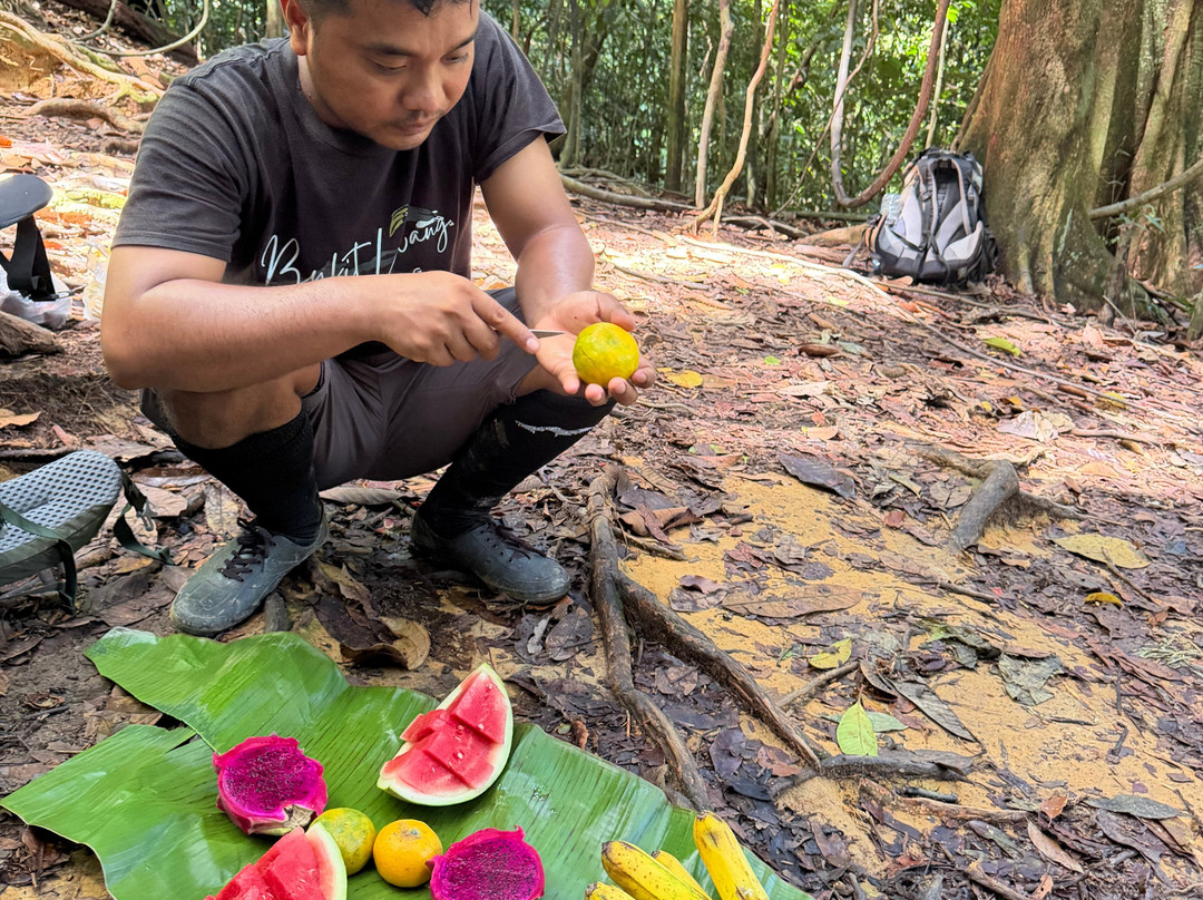 Bukit Lawang Trekking-武吉拉旺必去景点