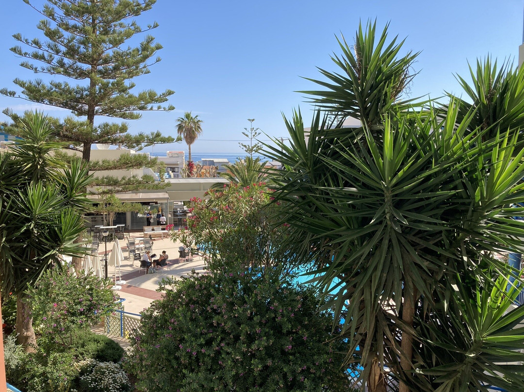 Ibiscos Garden Hotel主图