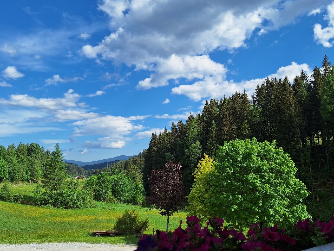Gasthof Spengerwirt-旅行者