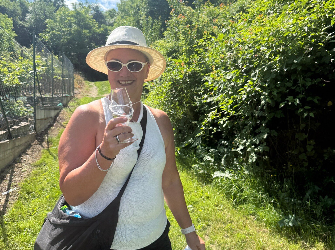 Wine Tours Moravia-米库洛夫必去景点