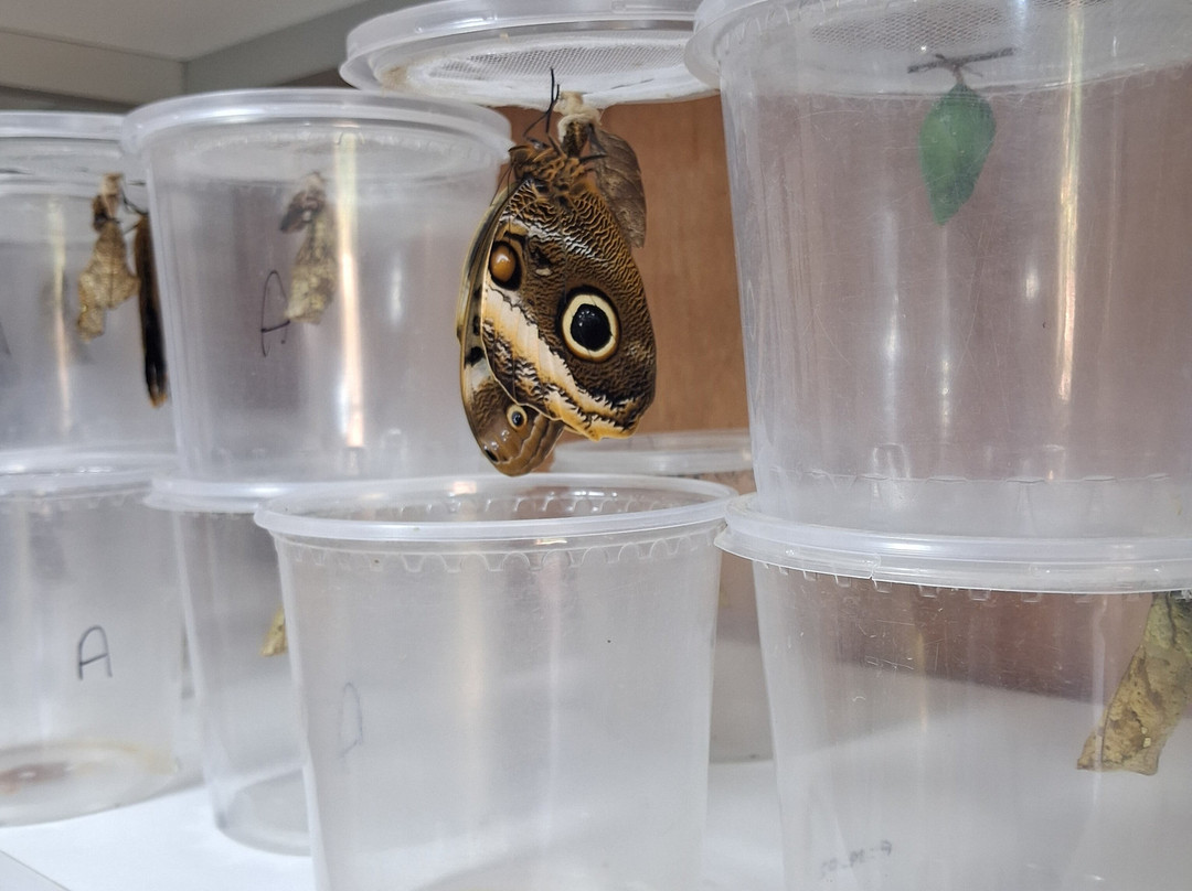 Mariposario De Machupicchu-温泉镇必去景点