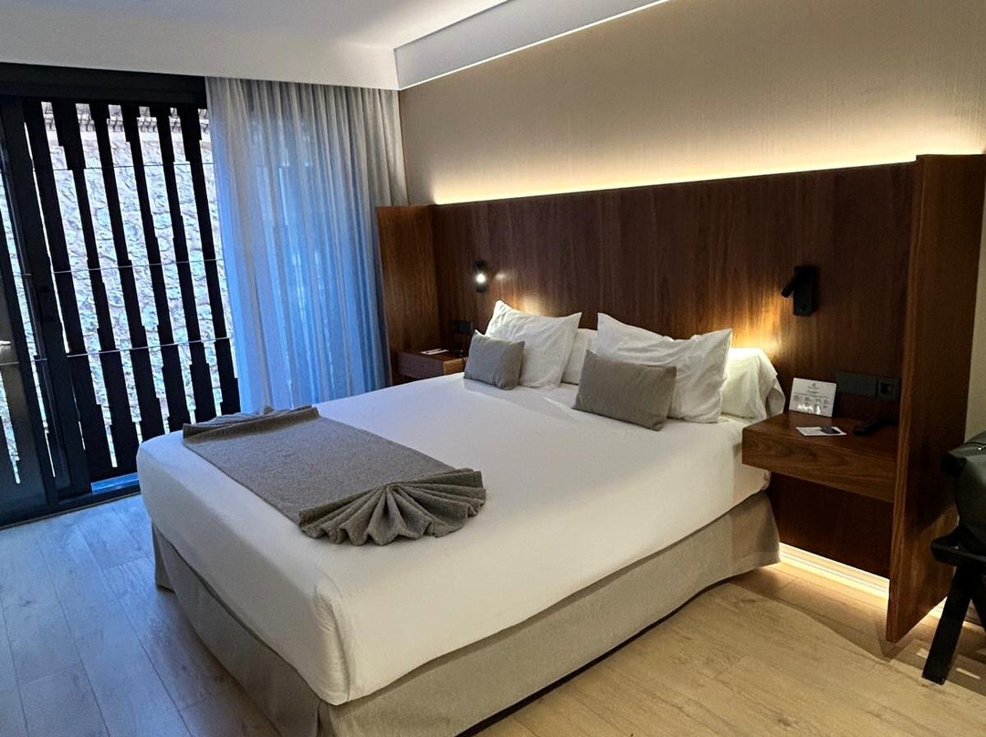 Hotel Palacio la Marquesa主图