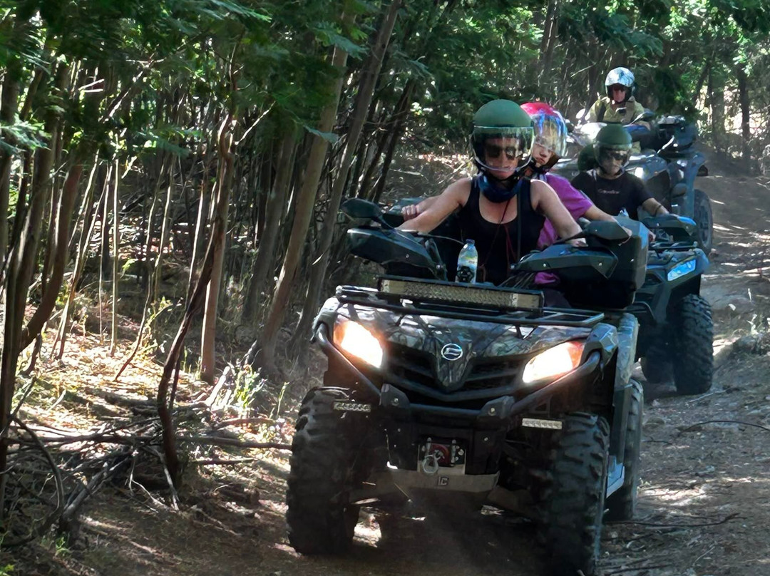 ATV & Horse Tours Central Portugal-Nogueira do Cravo必去景点