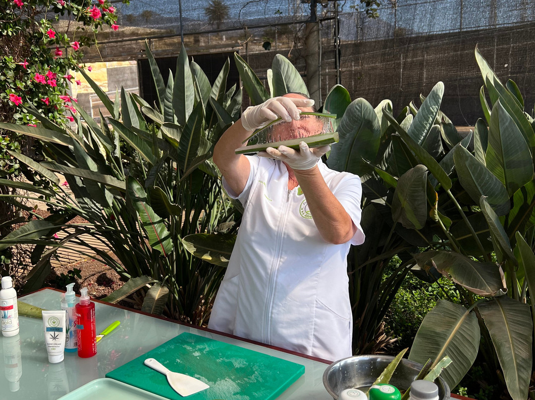 Finca Canarias Aloe Vera-Guimar必去景点