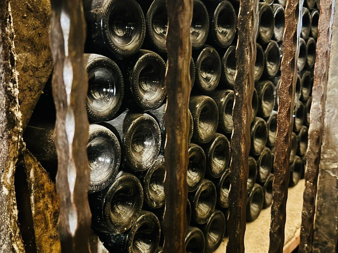 Bodegas Lecea-San Asensio必去景点