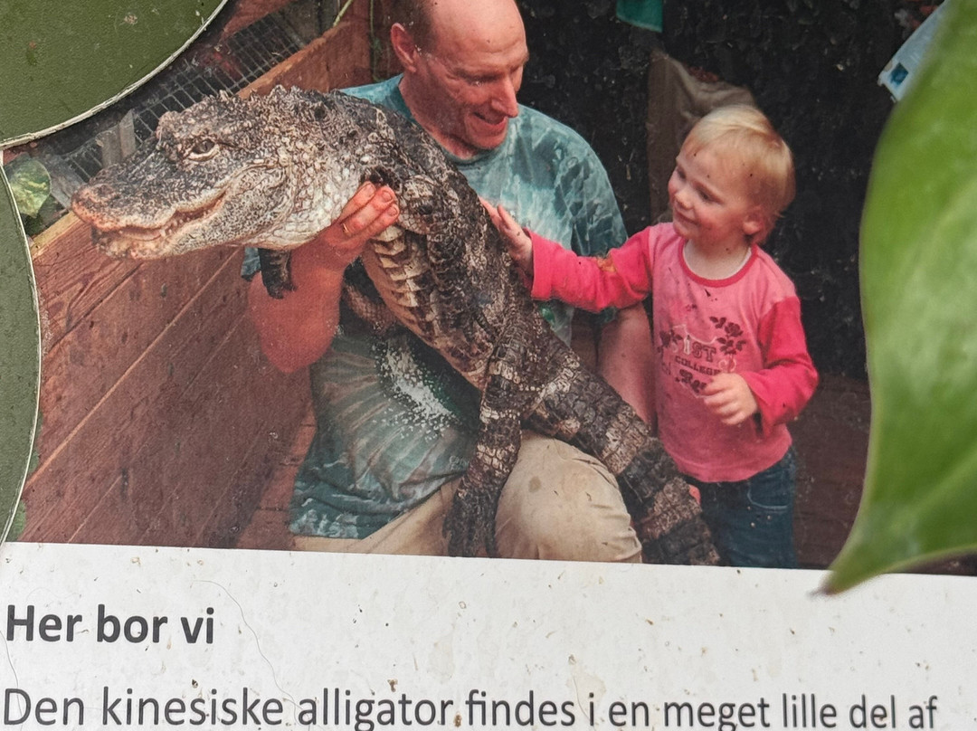 Krokodille Zoo-Eskilstrup必去景点