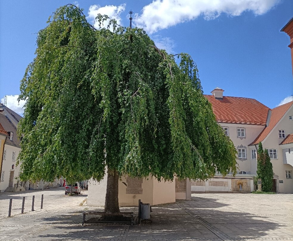 Gruftkapelle St. Michael und Maria Schnee-Mindelheim必去景点