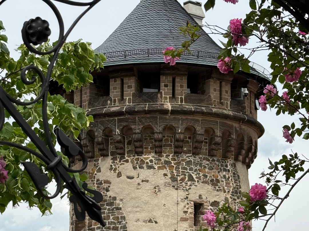 Aviation Museum Wernigerode-韦尼格罗德必去景点