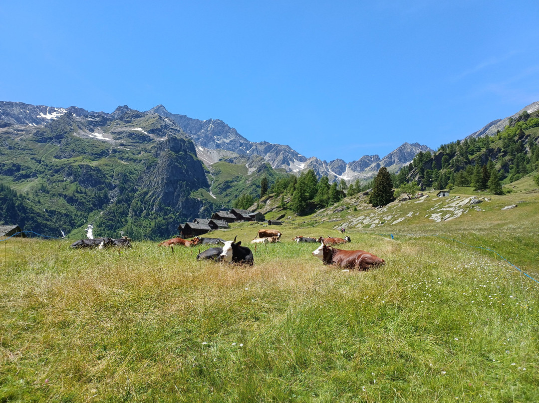 Oratorio Madonna della Neve a Otro - "In Olter"-Alagna Valsesia必去景点
