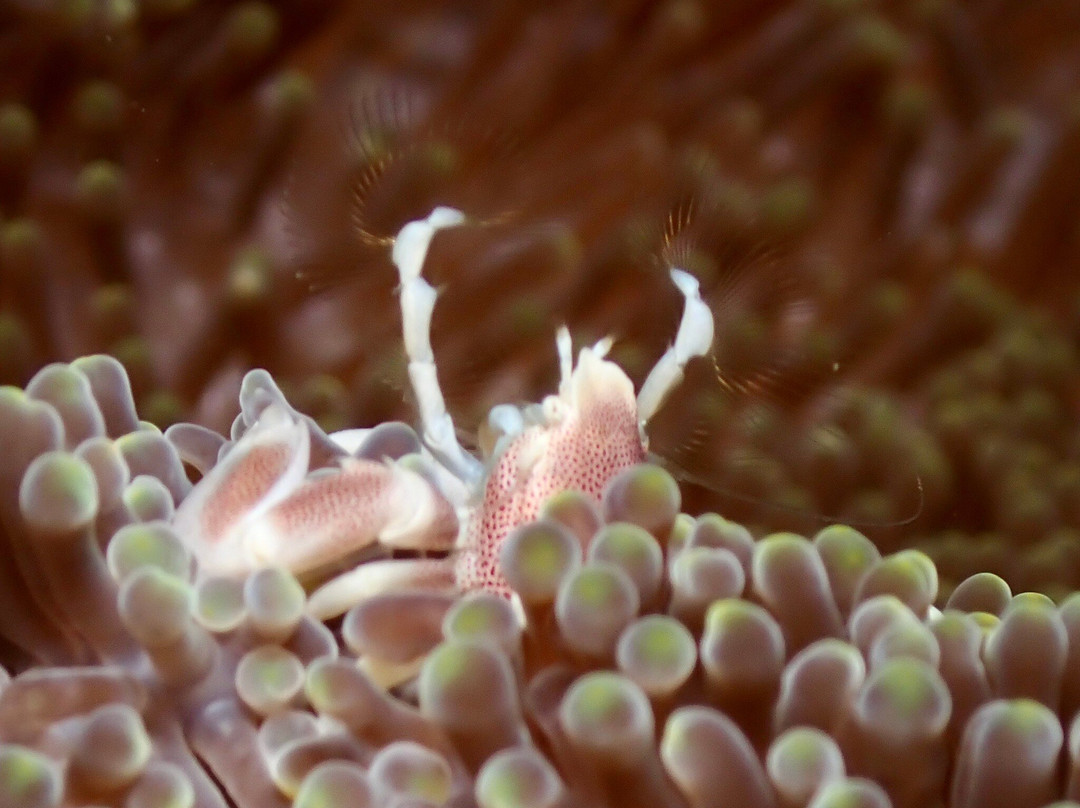 Gili Air Divers-Gili Air必去景点