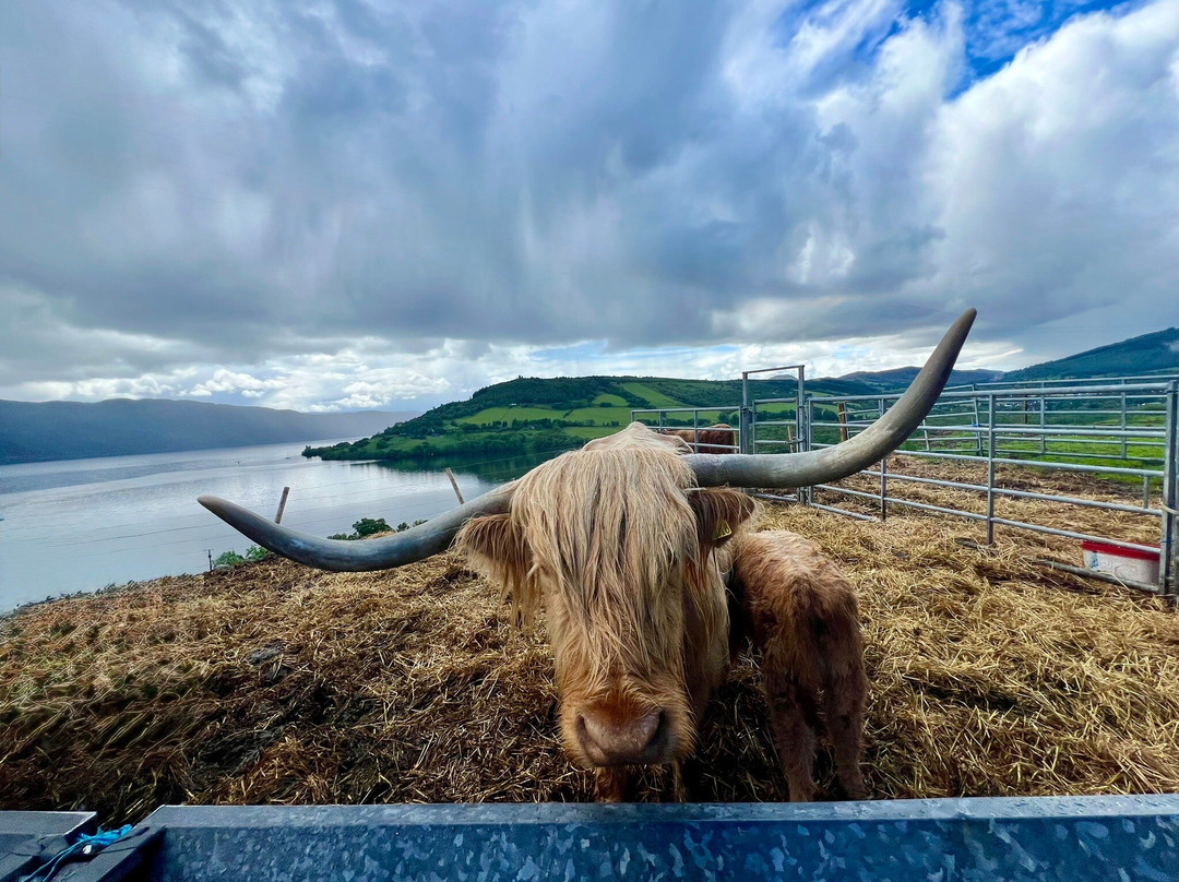Loch Ness Hub & Travel-德拉姆纳德罗希特必去景点