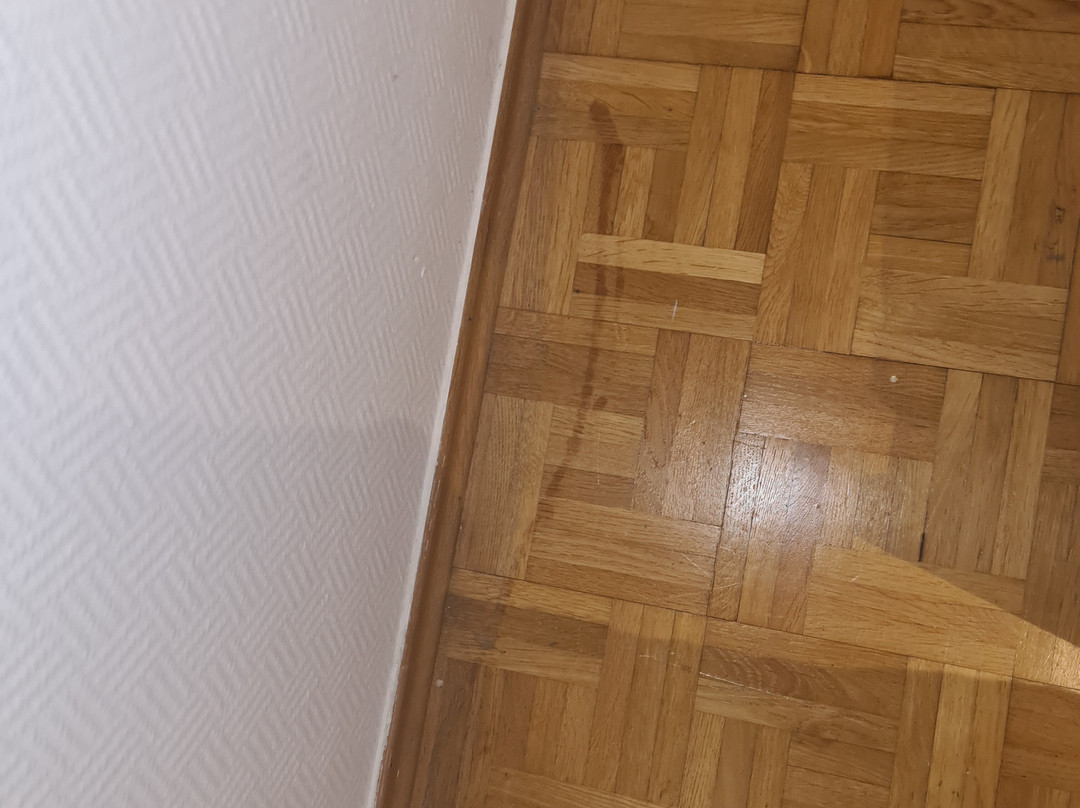 安吉罗 GmbH 餐厅酒店主图