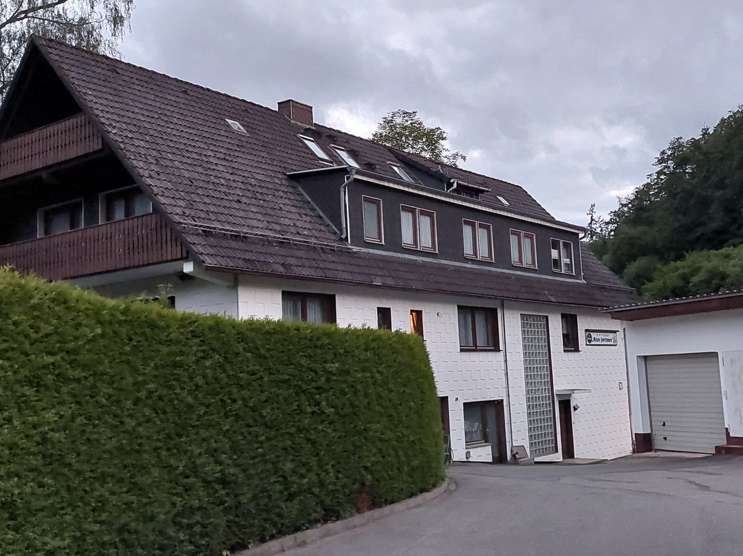 Hotel-Pension Altes Forsthaus主图