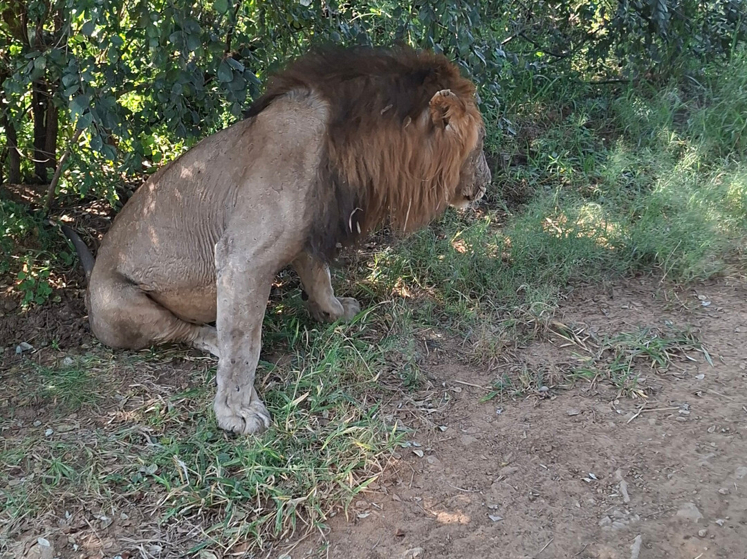 Mikumi National Park-米库米国家公园必去景点