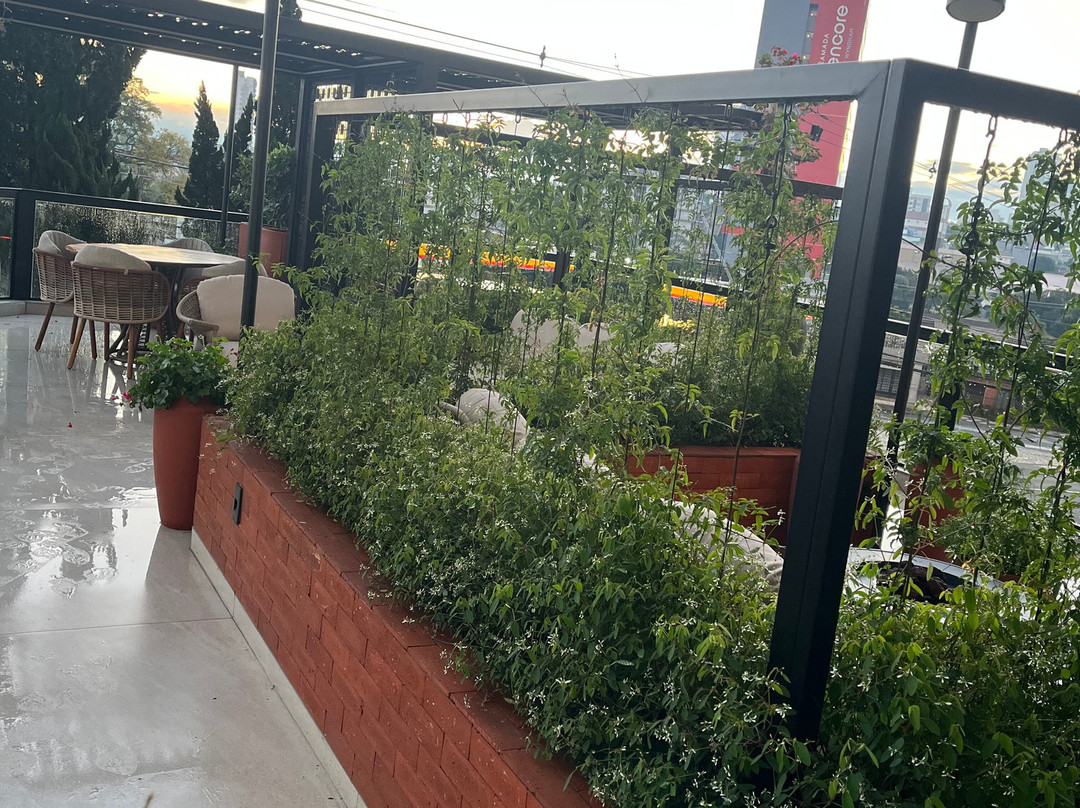 巴布广场酒店主图