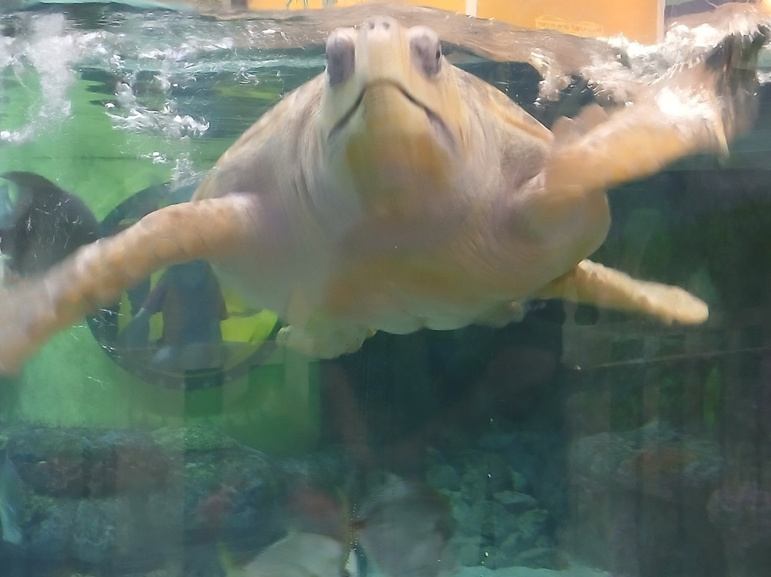 Oklahoma Aquarium-Jenks必去景点
