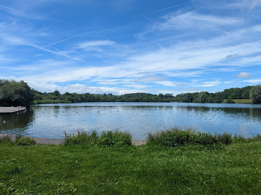 Cosmeston Lakes Country Park-珀纳斯必去景点