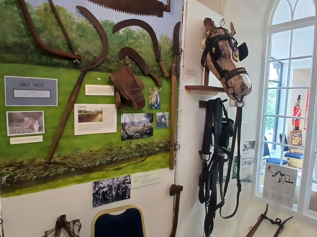 Beaminster Museum-Beaminster必去景点