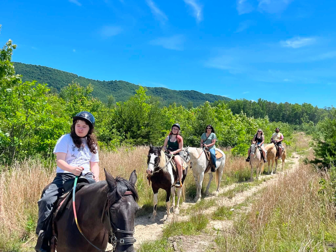 Appalachian Horse Adventures-温泉村必去景点