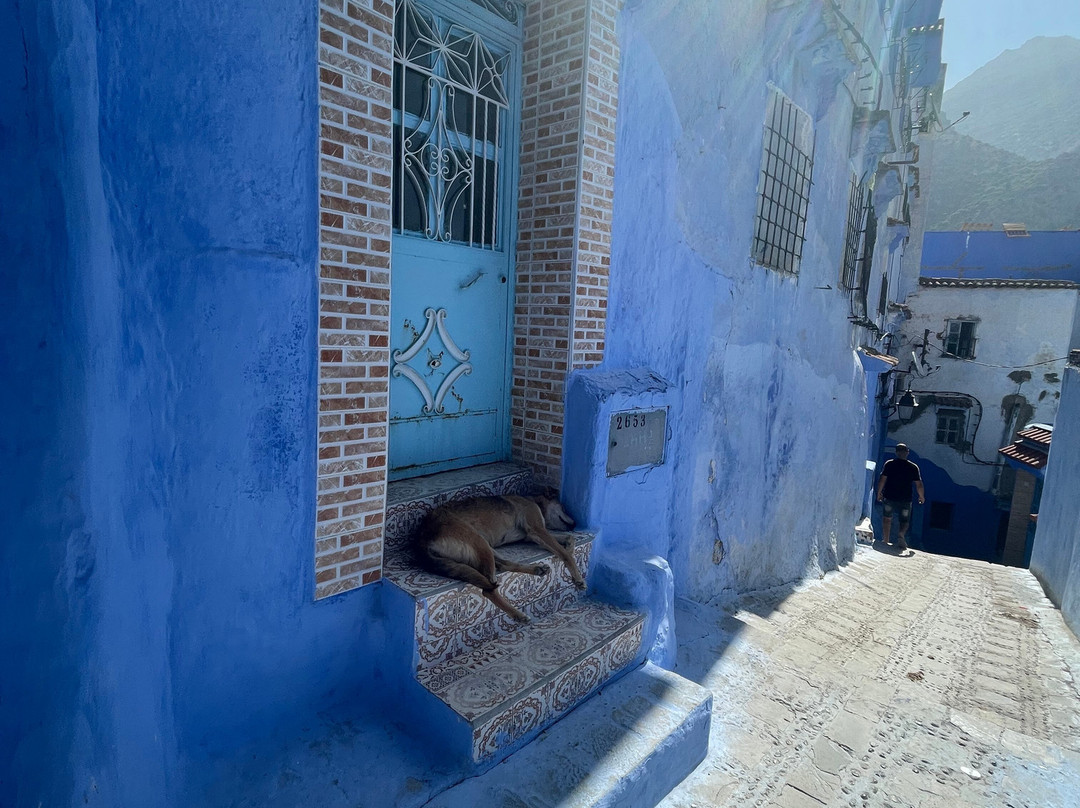 The Moroccan Guide-卡萨布兰卡必去景点