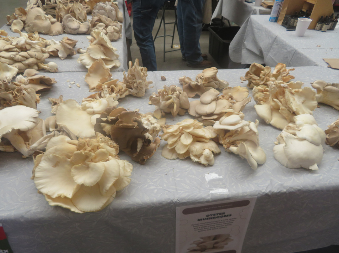 Santa Fe Farmers Market-圣菲必去景点