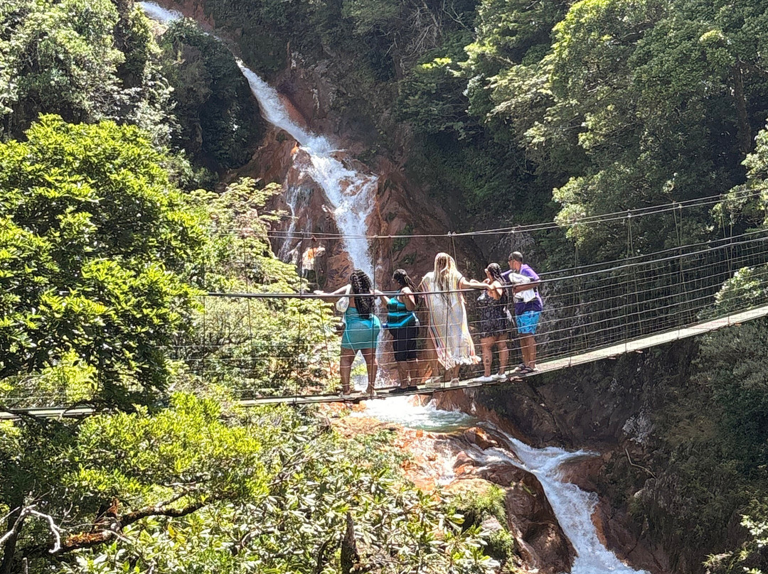 Costa Rica Amazing Trips-Playa Matapalo必去景点