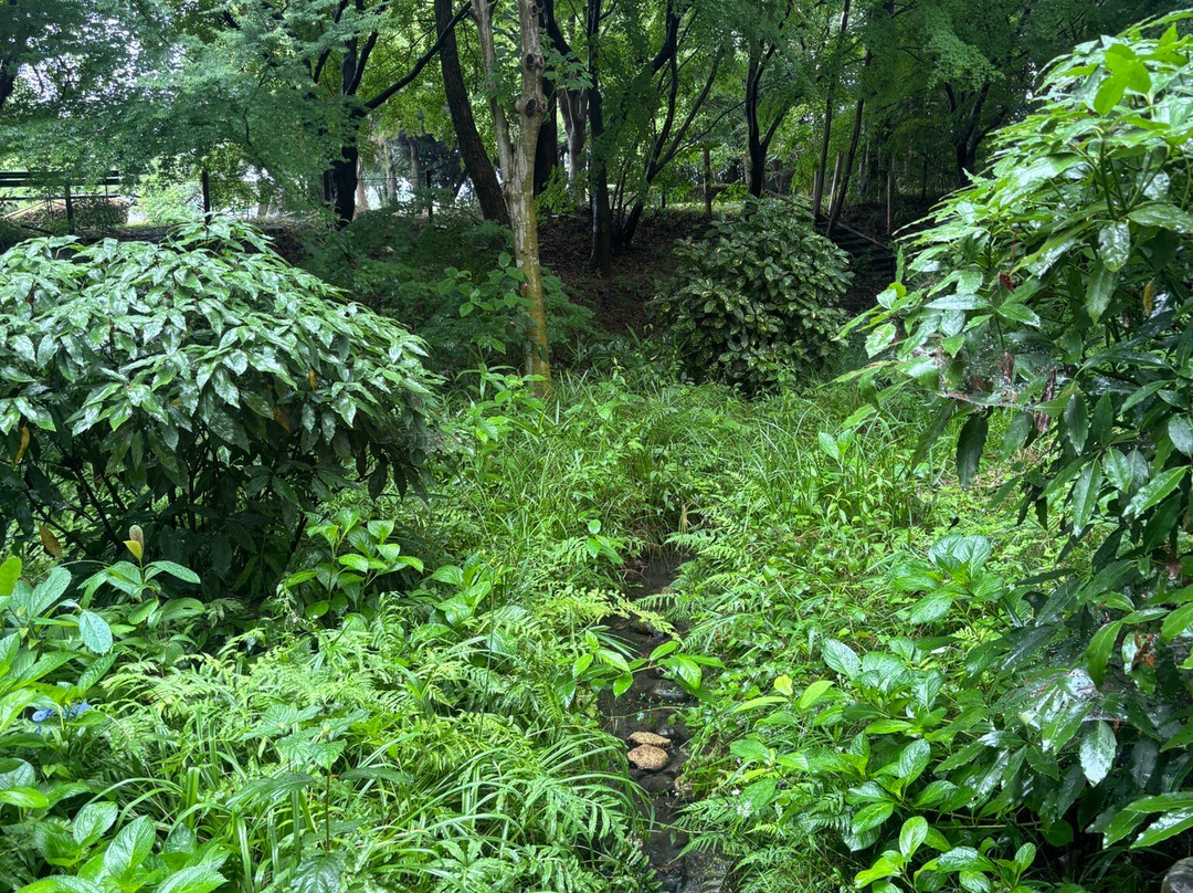 Moriyama Firefly Museum-守山市必去景点