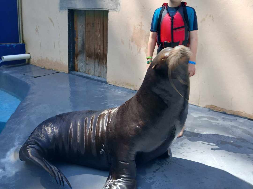 Combe Martin Wildlife And Dinosaur Park-伊尔弗勒科姆必去景点