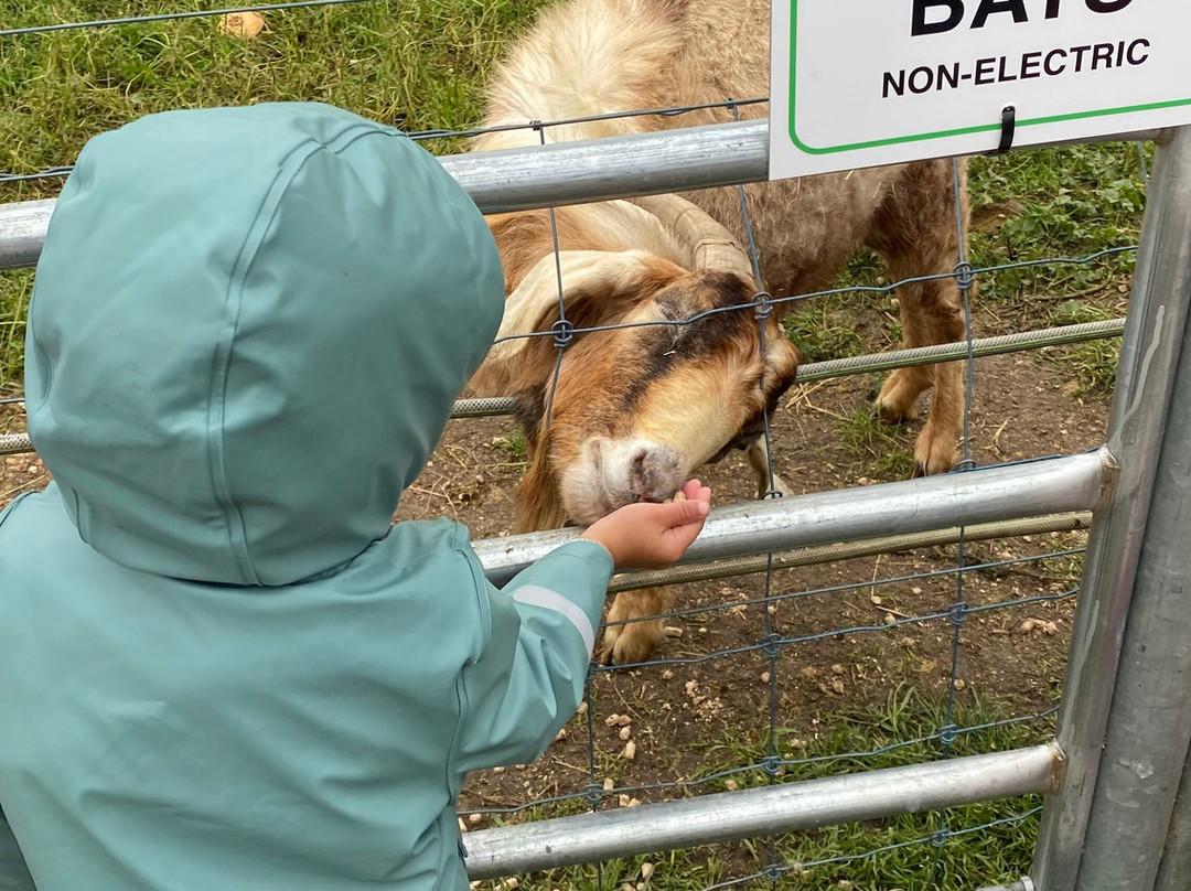 Animal Land Children's Farm-Diggers Rest必去景点