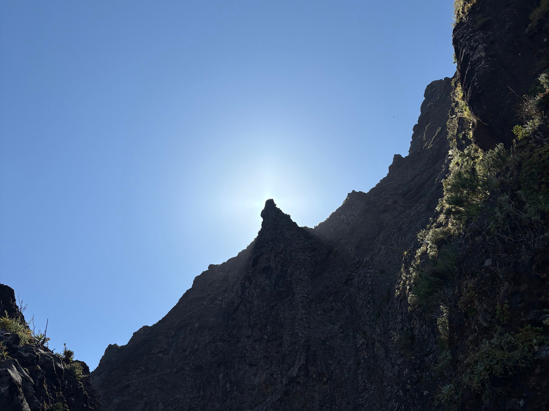 Madeira Wonder Hikes-沙尔必去景点