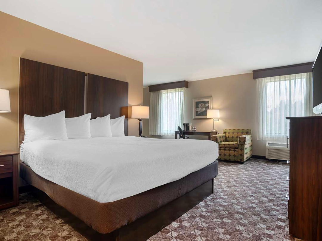 Alabaster酒店住宿-Best Western Plus Oak Mountain Inn