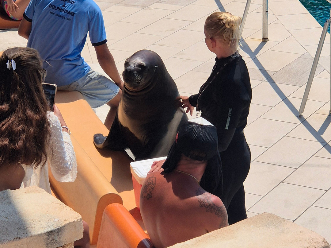 Sealanya Dolphinpark Seapark-蒂尔克莱尔必去景点