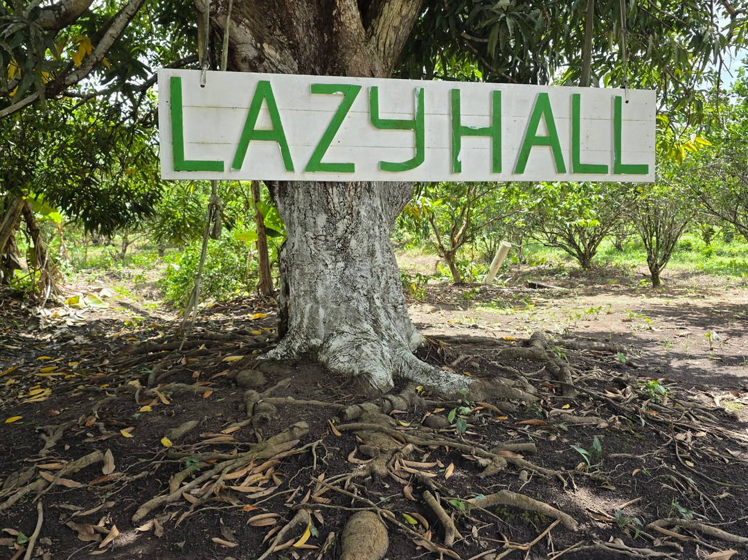 Touring Guyana-乔治城必去景点