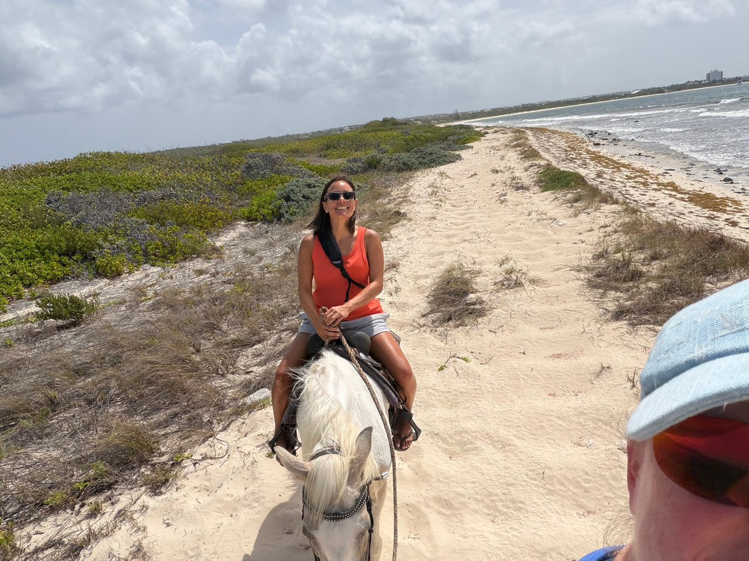 Seaside Stables Anguilla-West End Village必去景点