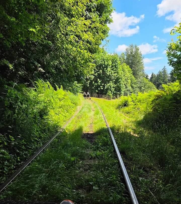 Vance Creek Railriders-Shelton必去景点