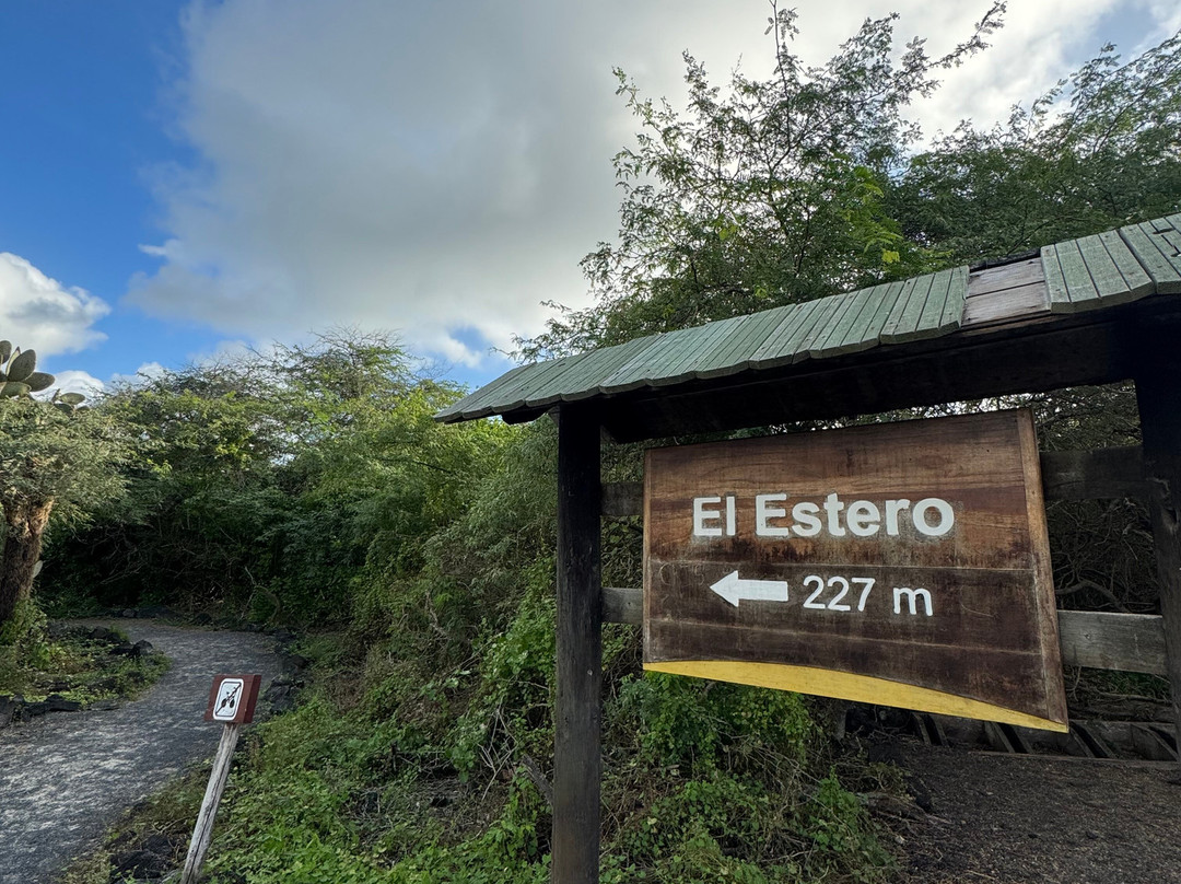 El Túnel del Estero-维里亚米尔港必去景点