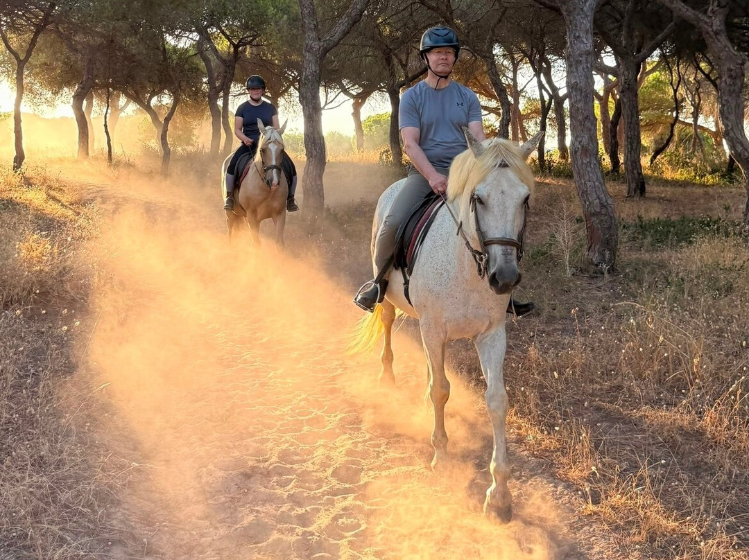 Clube Equestre A Palmeirinha-Almancil必去景点