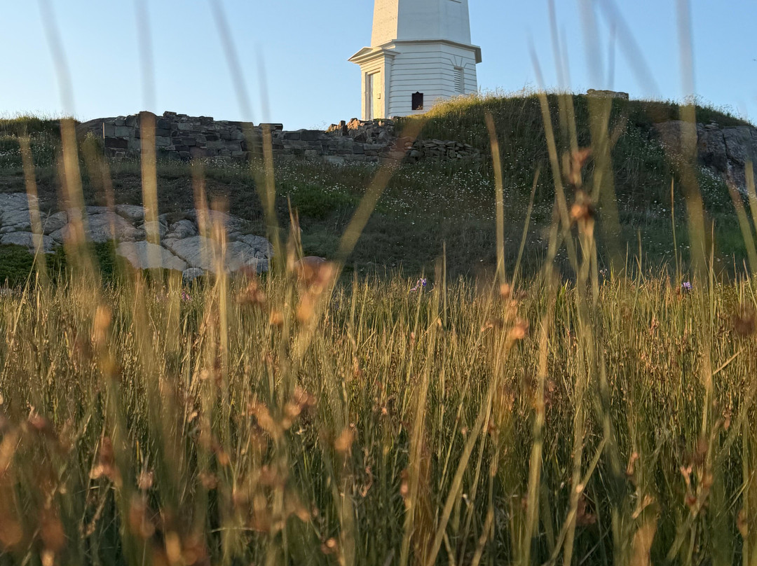 Louisbourg Lighthouse-Louisbourg必去景点