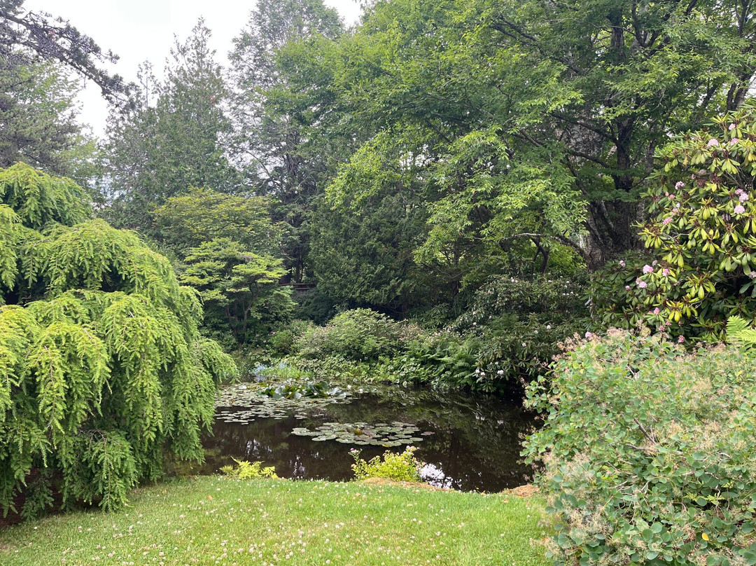 Asticou Azalea Garden-Northeast Harbor必去景点