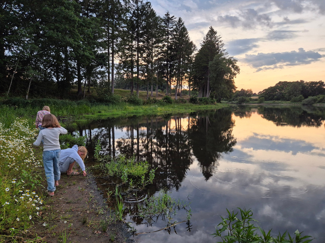 Vestbirk Camping