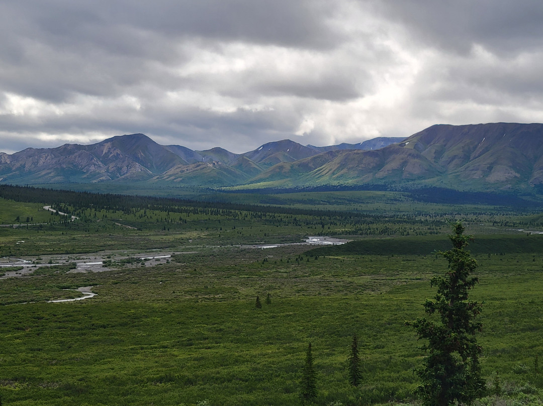 Denali Natural History Tour-德纳利国家公园和自然保护区必去景点