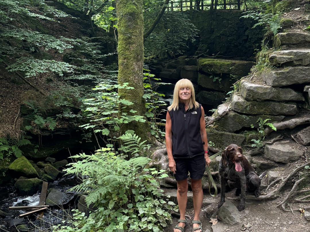 Healey Dell Nature Reserve-洛奇代尔必去景点