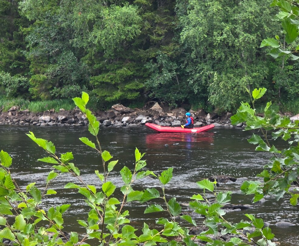 Dala River Adventure-Bjorbo必去景点