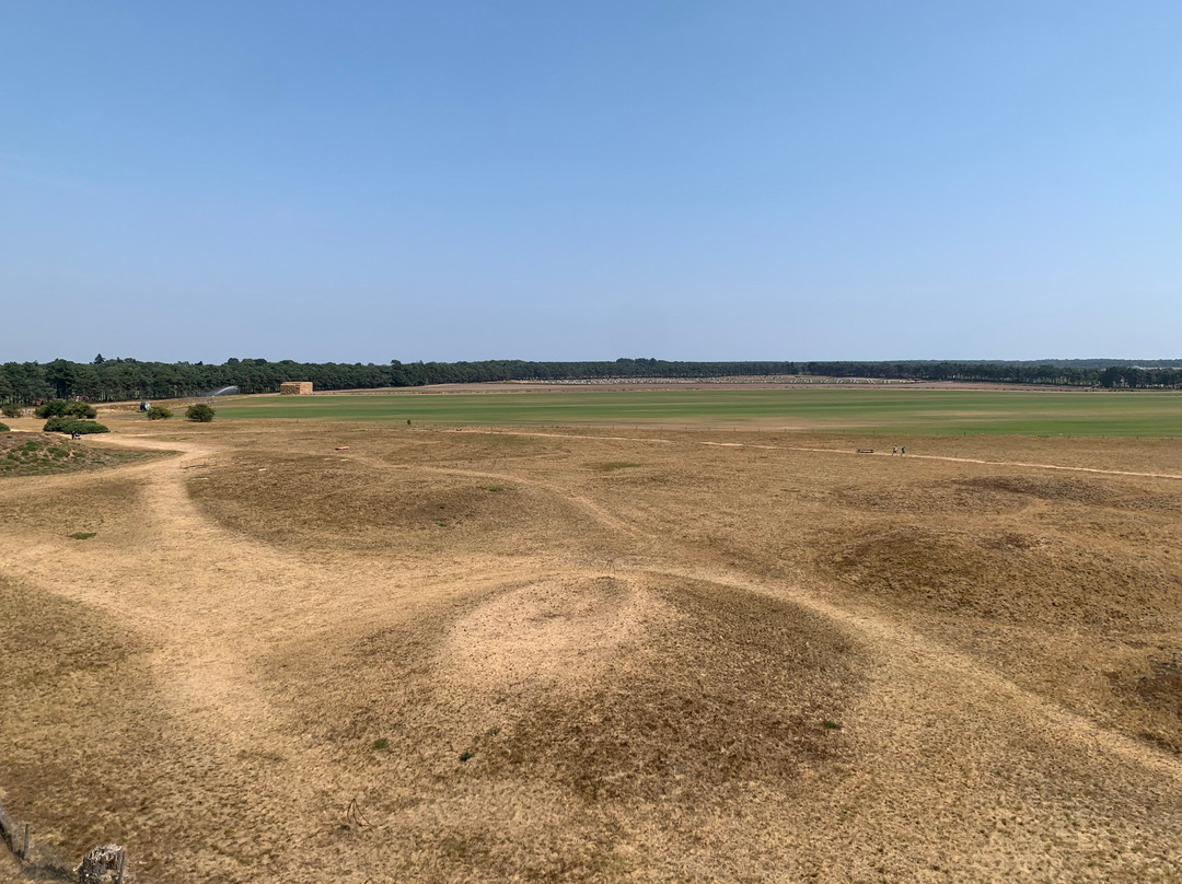 Sutton Hoo-Woodbridge必去景点