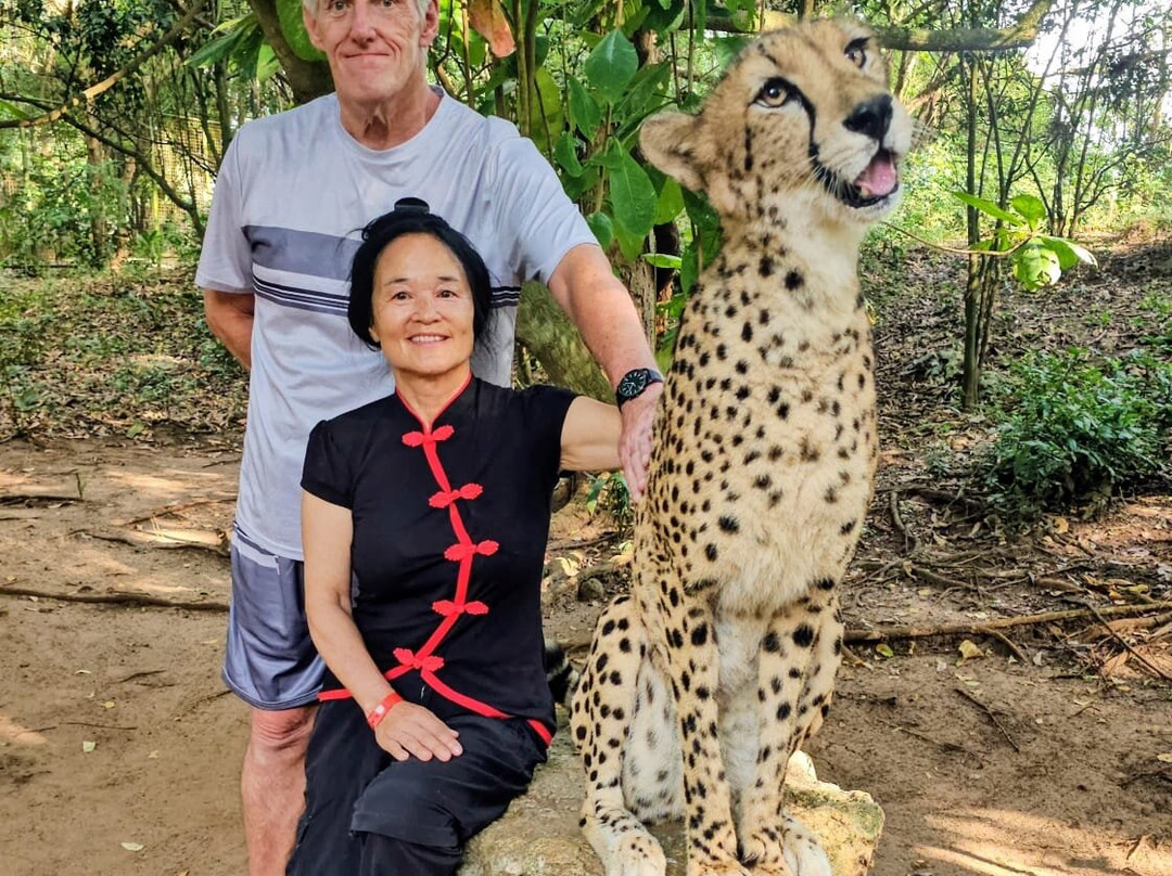 猎豹动物园-桑给巴尔岛必去景点
