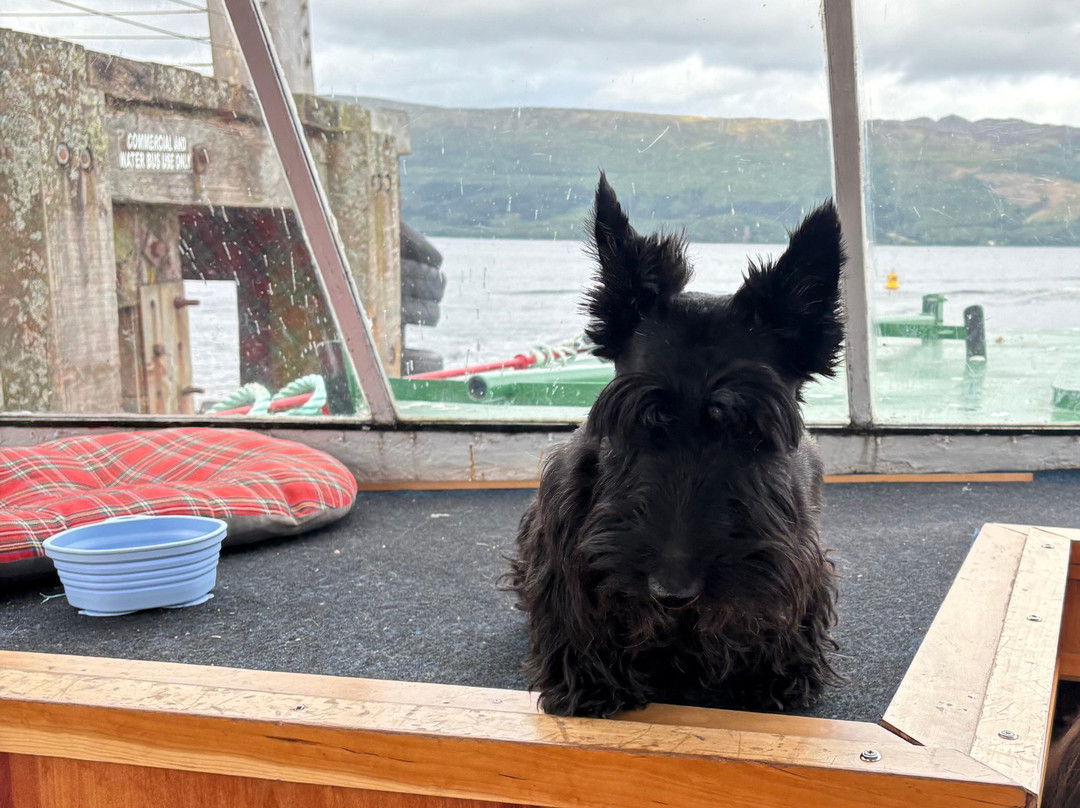 Cruise Loch Lomond-拉斯必去景点