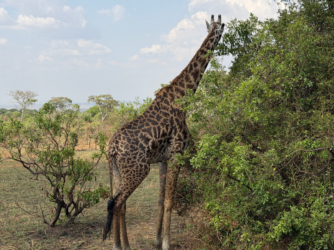 BADGER ADVENTURES TOURS & SAFARI-Arusha Chini必去景点