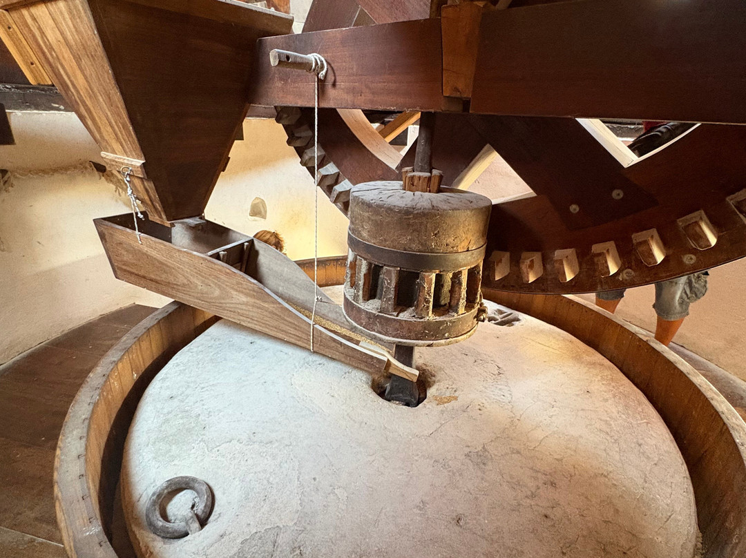 The Antimachia Windmill-Antimachia必去景点