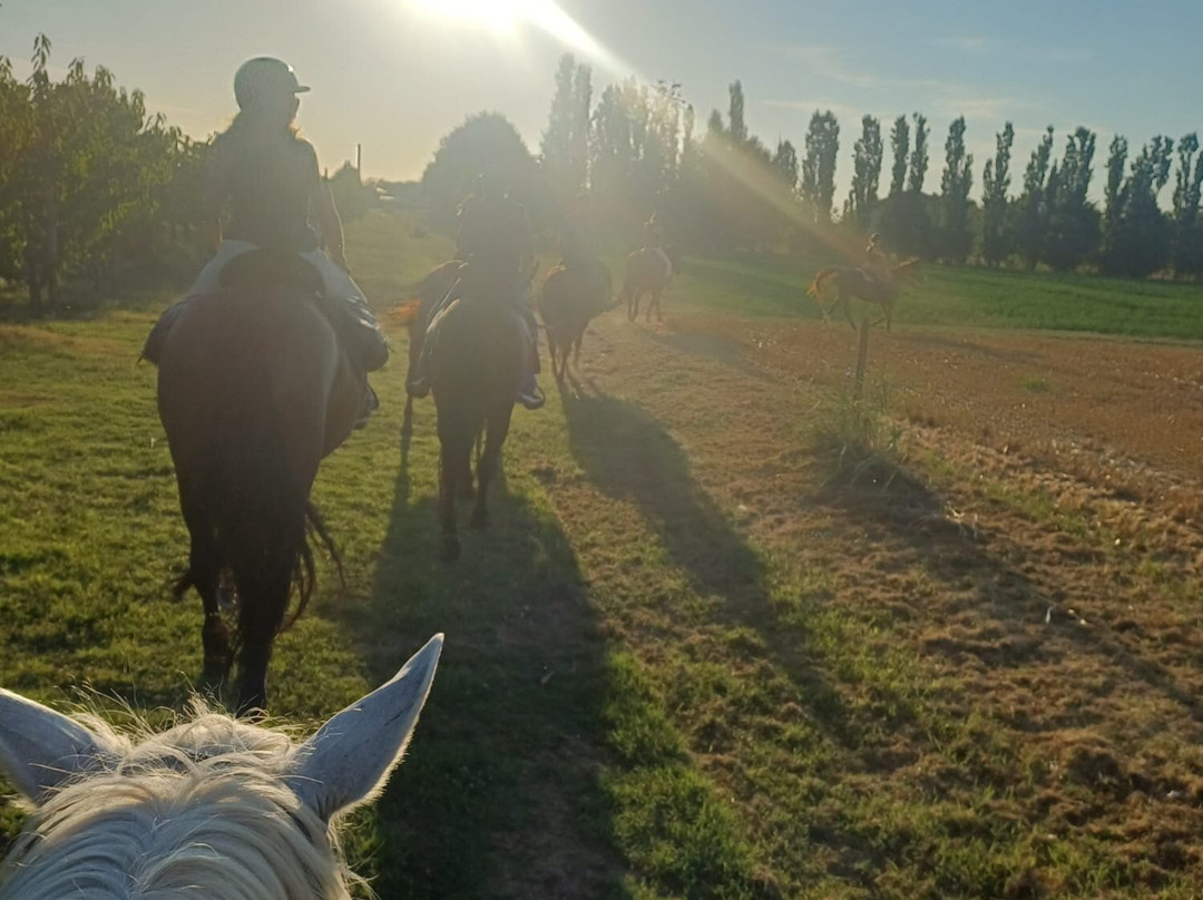 Ranch San Bernardino-San Cesario sul Panaro必去景点