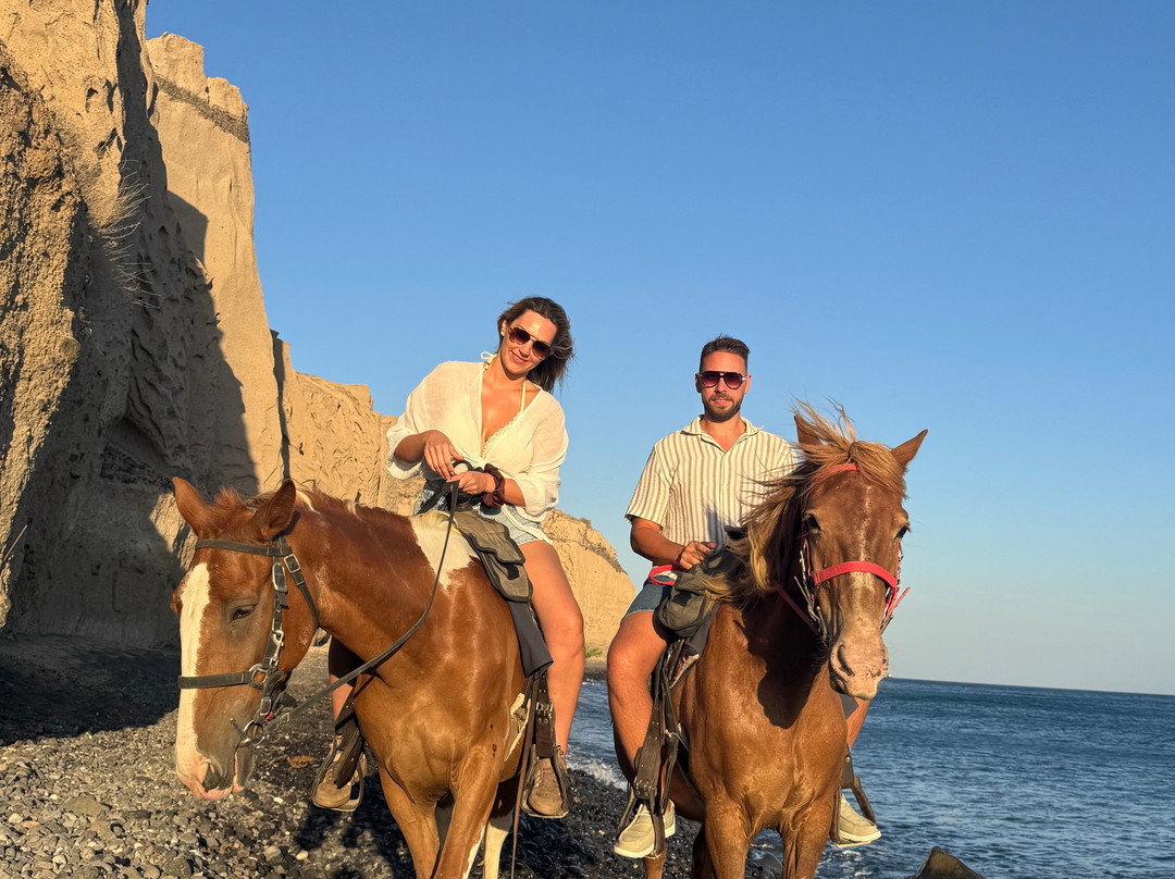 Experience Horse Riding-阿克罗蒂里必去景点